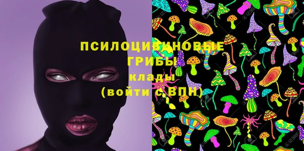 мескалин Покачи